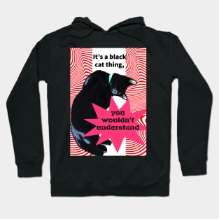 It's a Black Cat thing, you wouldn't understand Hoodie